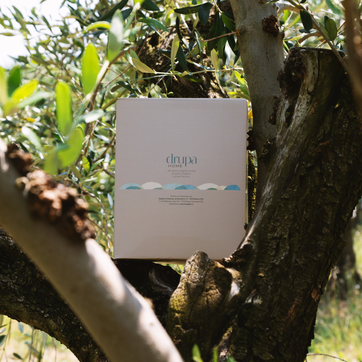 Drupa Home 3L